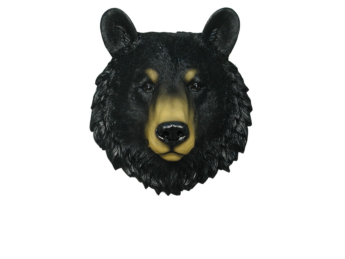 teddy bear head wall mount